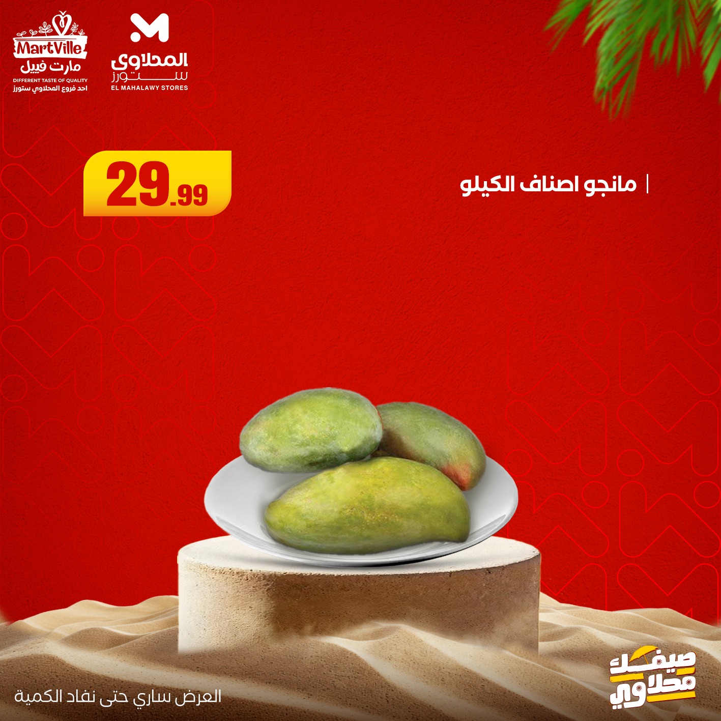 el-mahallawy offers from 13jul to 3jun 2025 عروض المحلاوي من 13 يوليو حتى 3 يونيو 2025 صفحة رقم 14